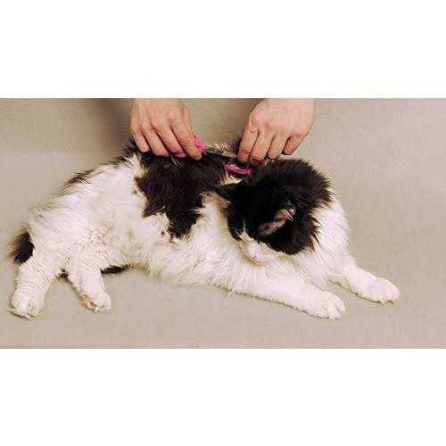 Silent Pet Grooming Kit T179208