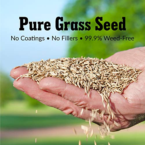 Pure Grass Seed Tall Fescue Sun & Shade Blend 20 lb. Bag F119667