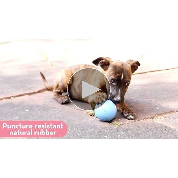 Puppy Ball with Hole Dog Toy Y108