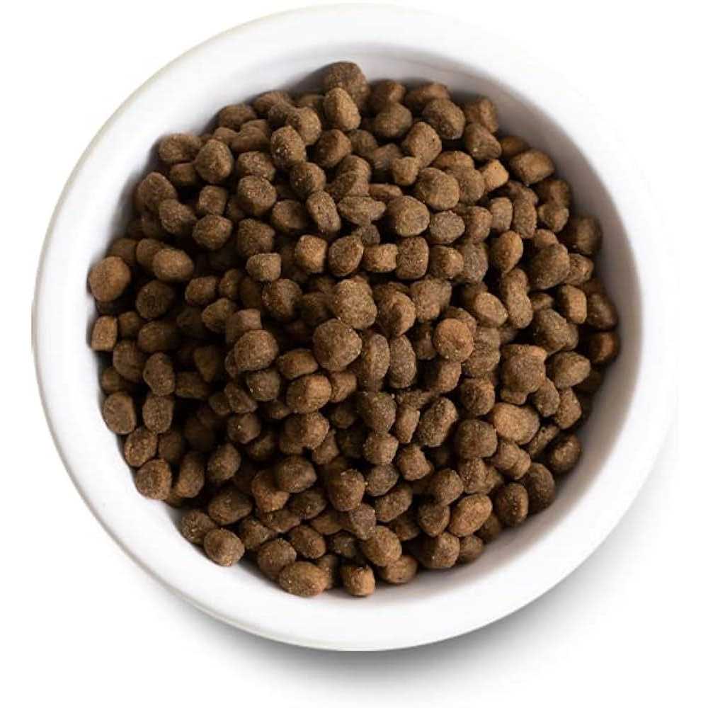 Ancient Grains Puppy Dry Dog Food B383
