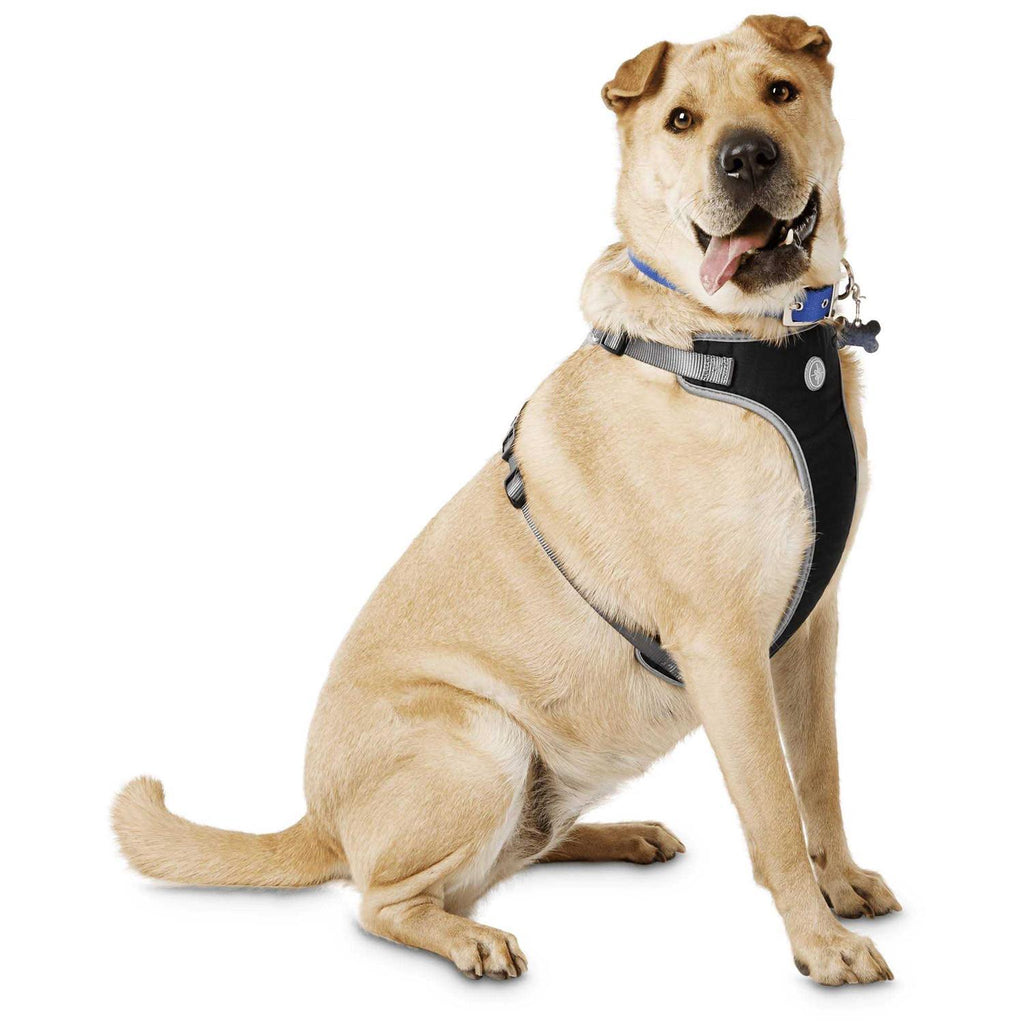 Black Large Dog Harness D859