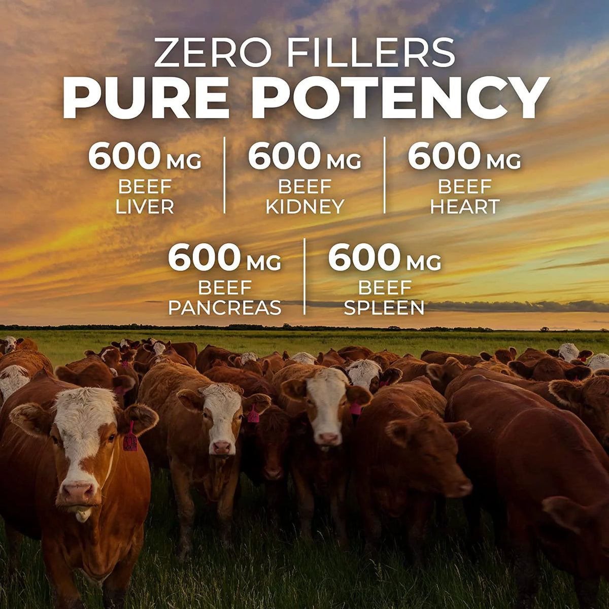 Grass Fed Beef Organ Supplement 180 Count H202763