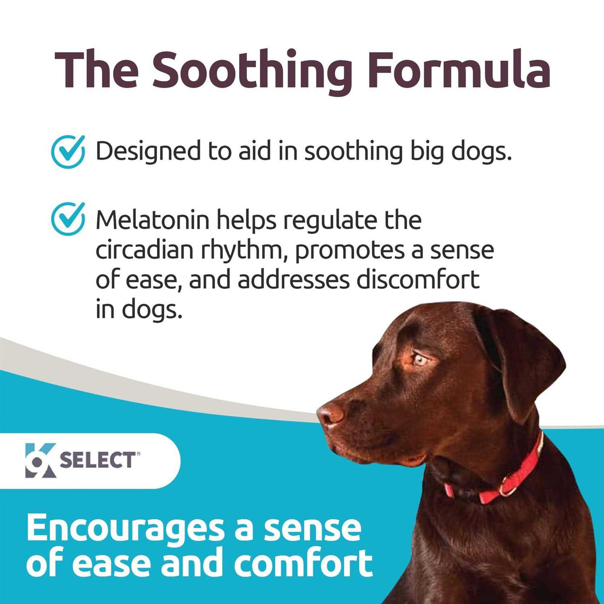 Melatonin for Dogs 6mg 90 Beef Flavored Chewable Tablets I208925