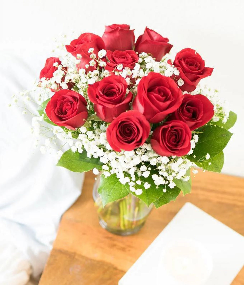 One Dozen Long Stemmed Red Roses Fresh Flowers L181717