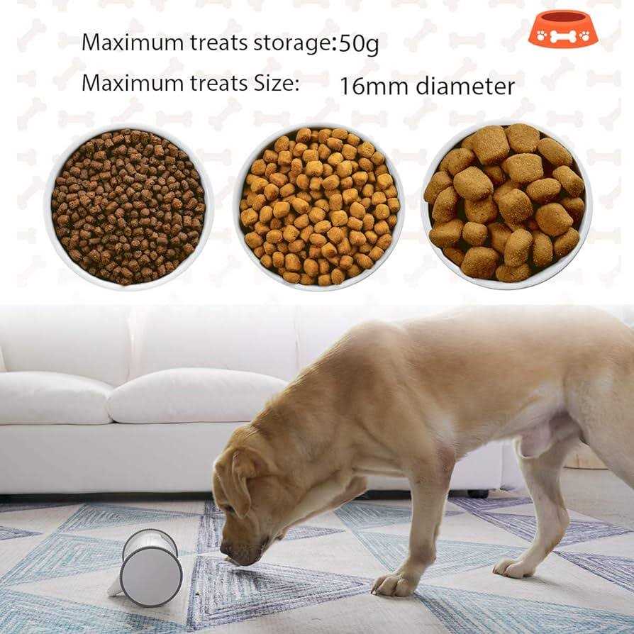 Full HD Pet Camera with Treat Dispenser R117352
