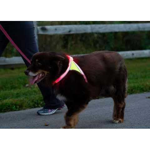 LED Reflective Dog Harness L139639