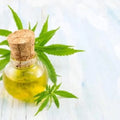 Organic Hemp Seed Oil 32oz W8868