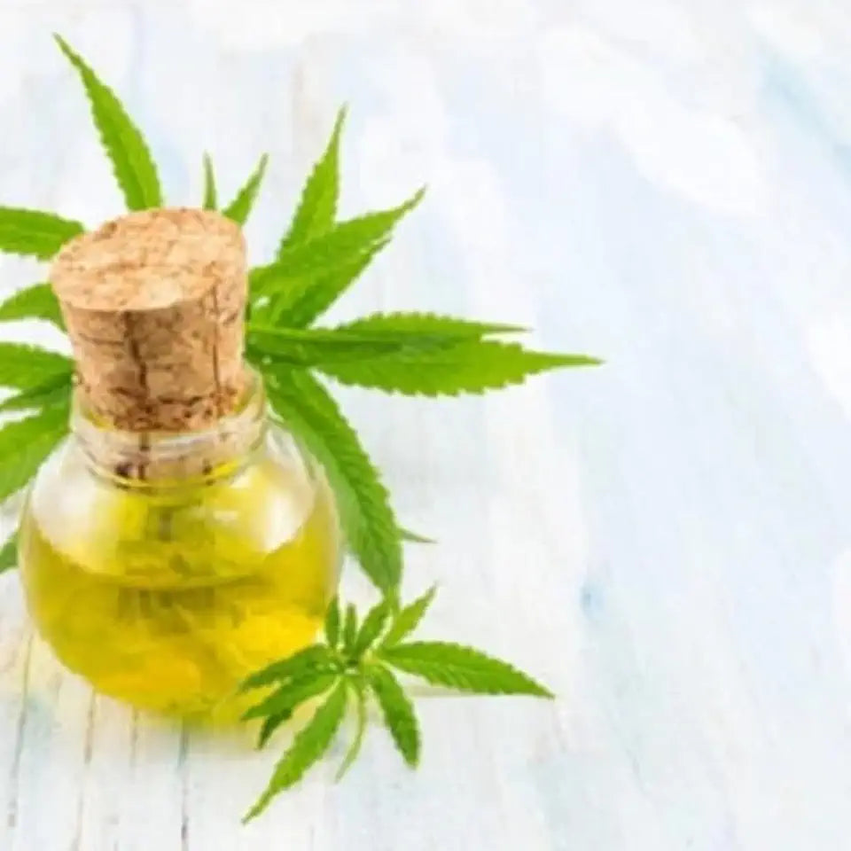 Organic Hemp Seed Oil 32oz W8868