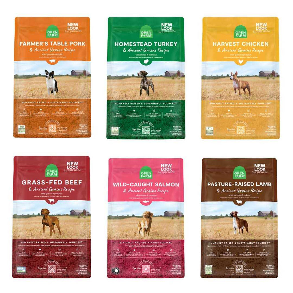 Ancient Grains Puppy Dry Dog Food B383