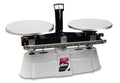 Two Beam Scale Z789
