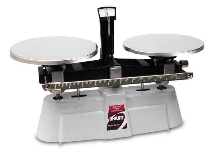 Two Beam Scale Z789