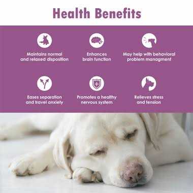 Pet Supplies G67835