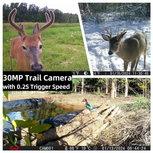 30MP 1920P HD 3 Pack Trail Camera with SD Cards U202177