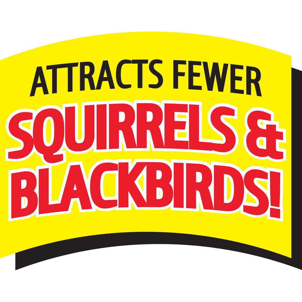 Safflower Seed Wild Bird Feed & Seed N9055