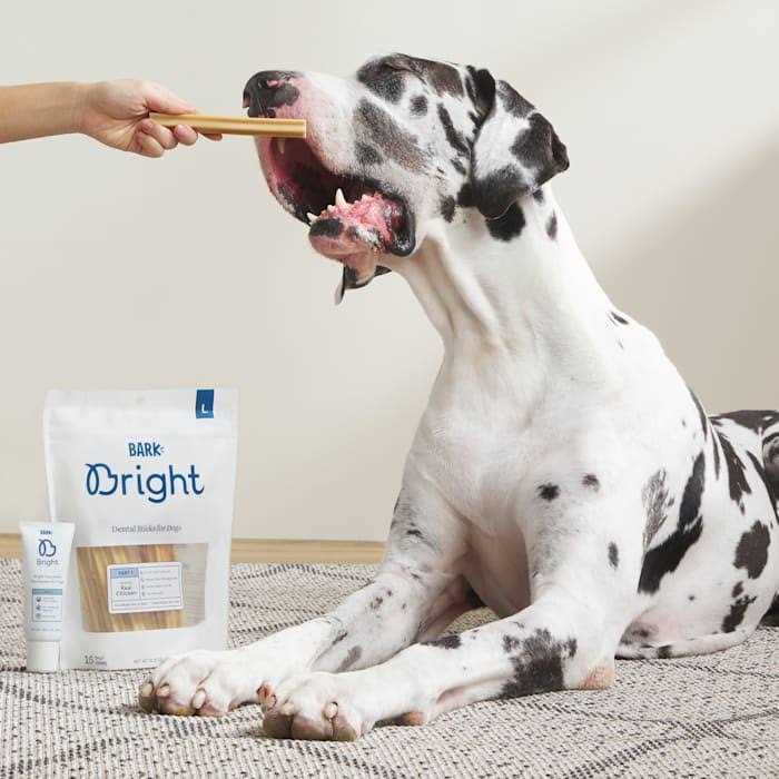 Dental Sticks for Large Dogs Chews H3672