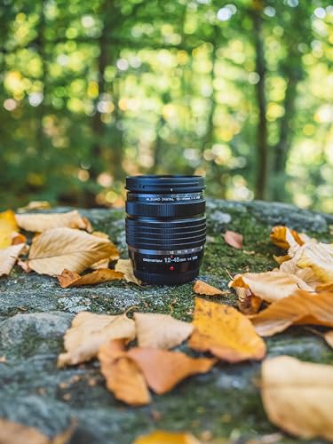 12-45mm F4.0 Weather-Sealed Zoom Lens O7450