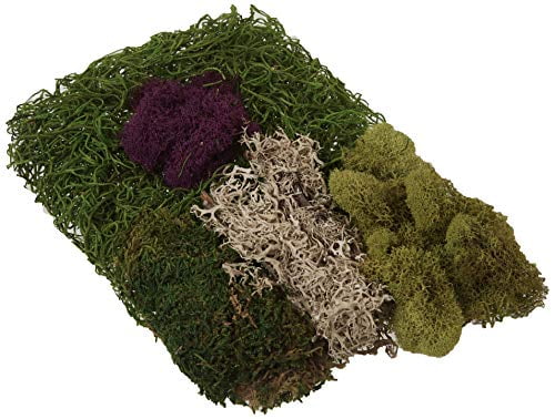2 oz Moss Mix E4020