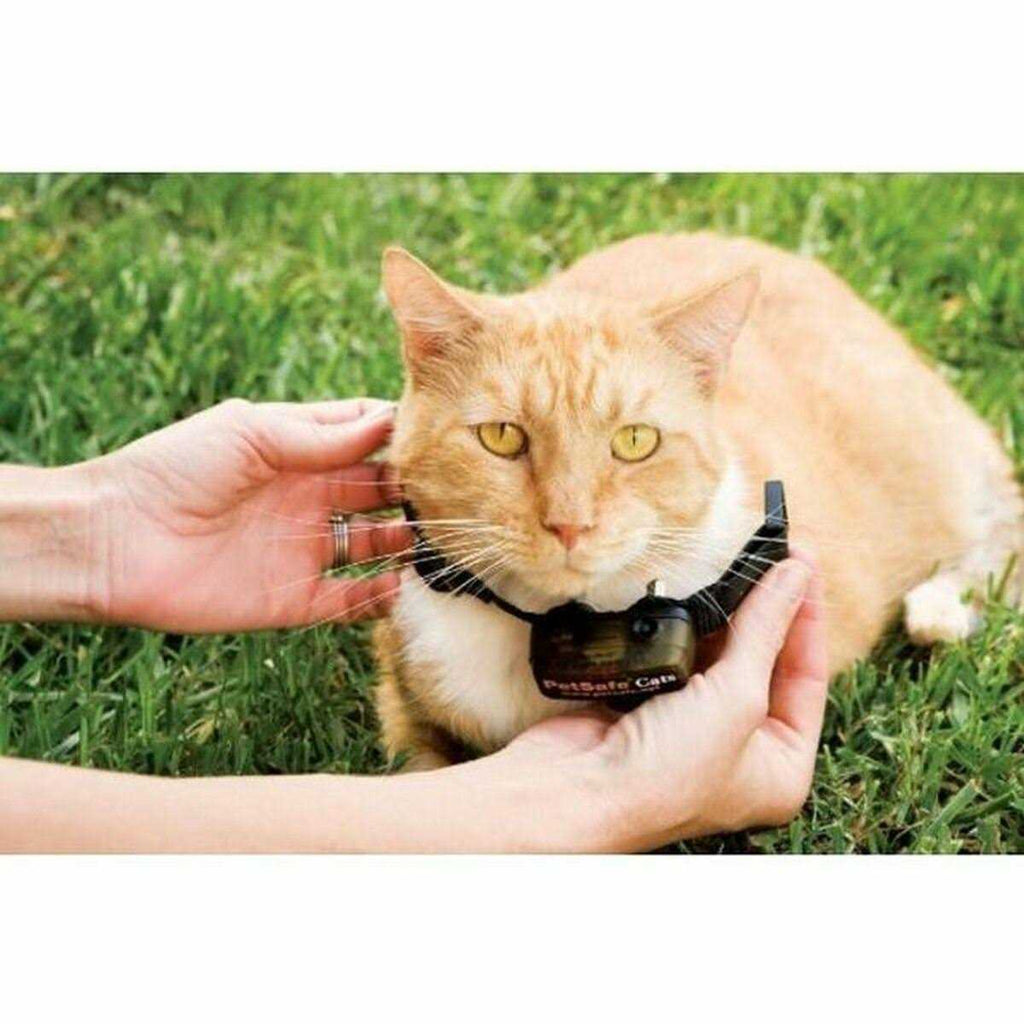 Cat Fence Receiver Collar B56196