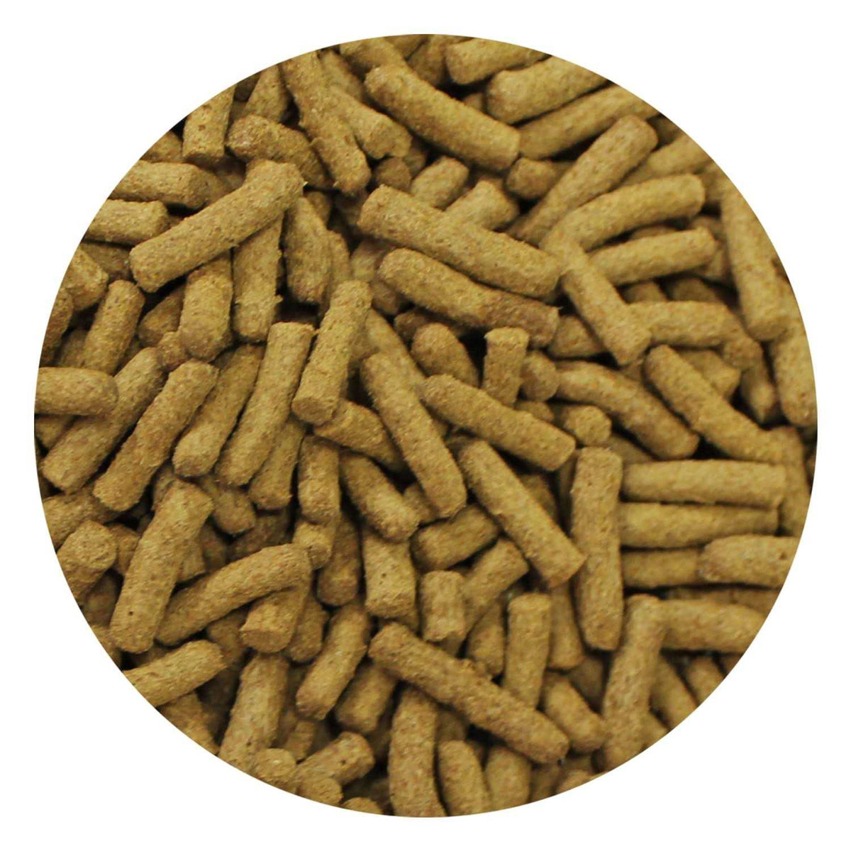 Insectivore Diet H818