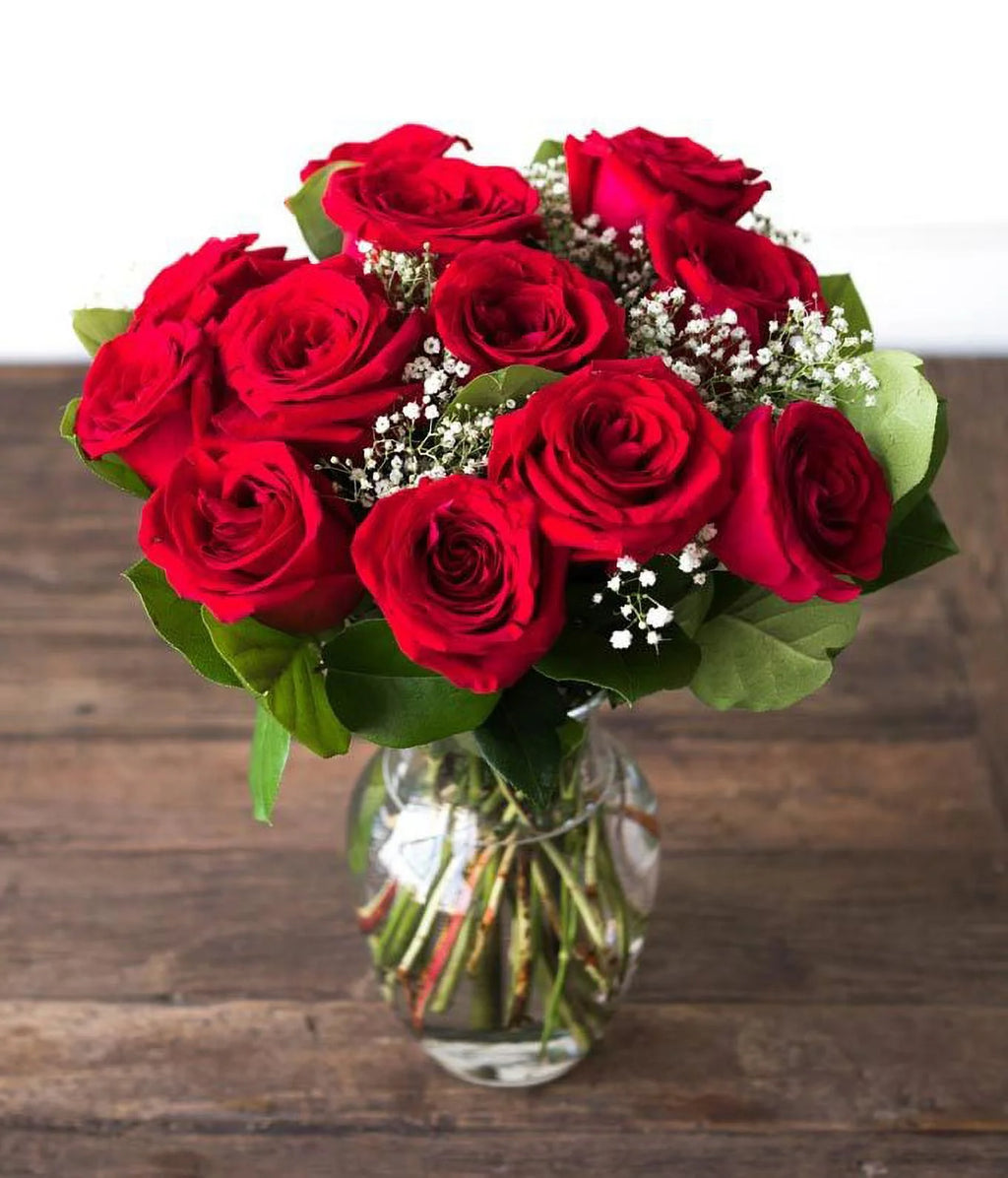 One Dozen Long Stemmed Red Roses Fresh Flowers L181717