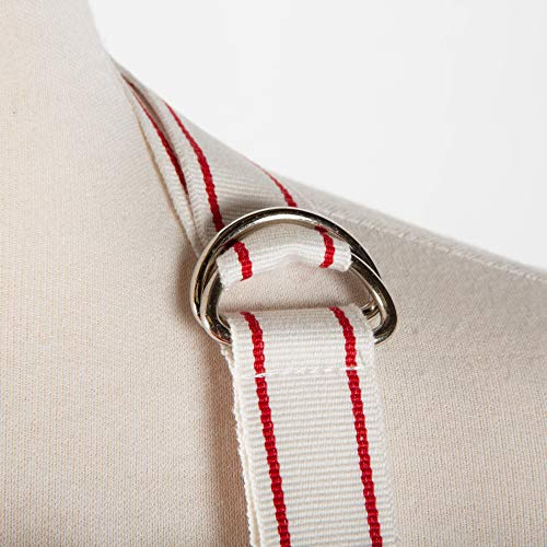 Cotton Apron and Dishtowel Set, 3 Count D91810
