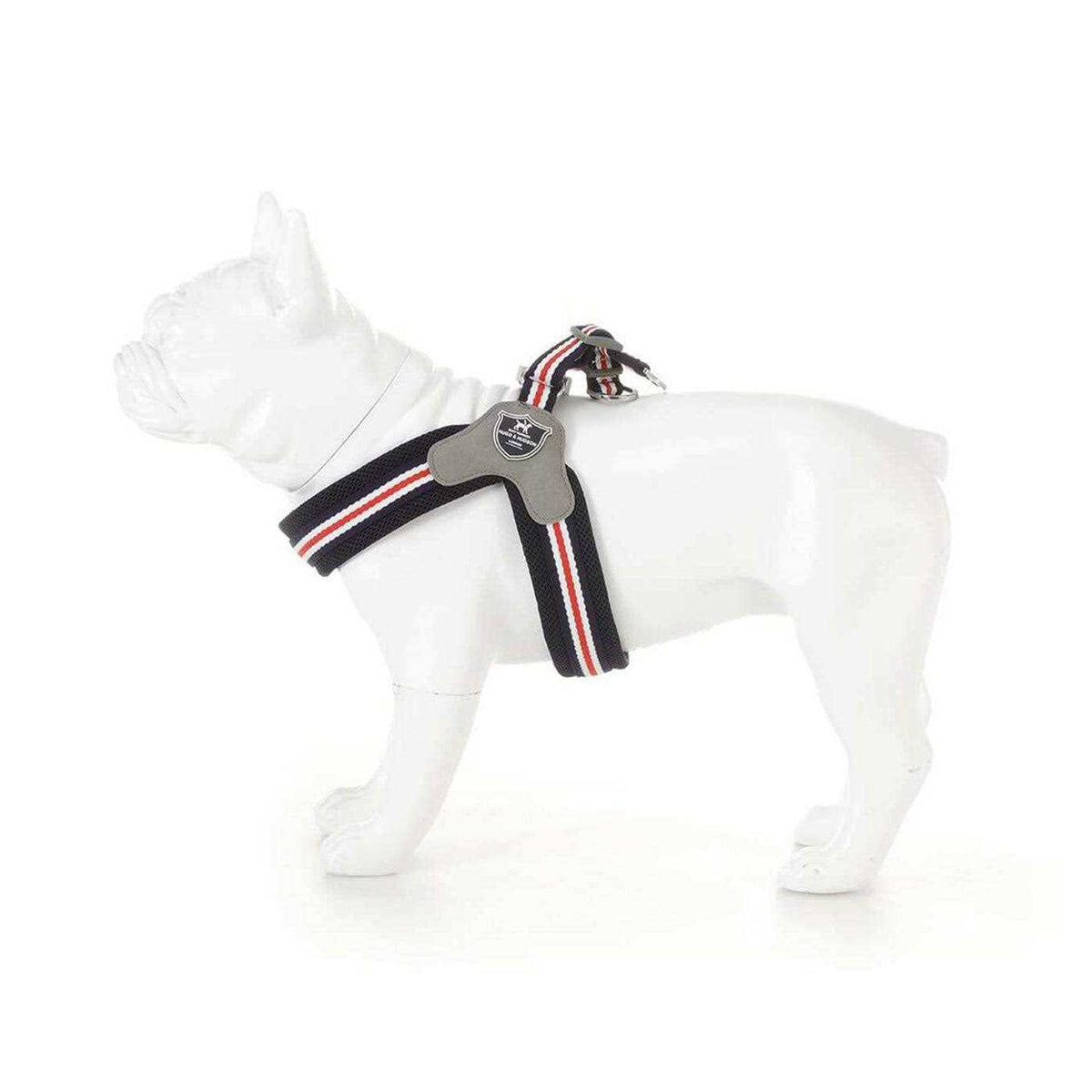 Dog Harness P134