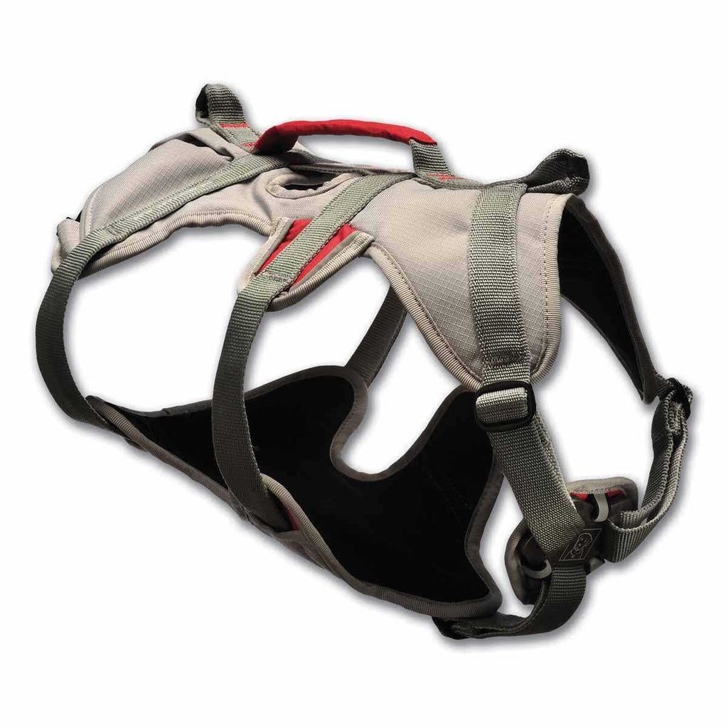 Doubleback Harness Z828022