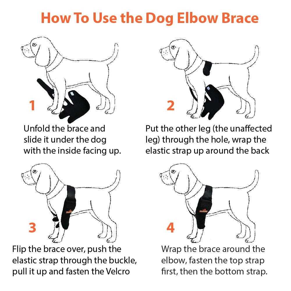 Dog Elbow Brace Protector Pads Y3581