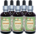 Organic Dried Lovage Alcohol-Free Liquid Extract 5x2 fl.oz D831