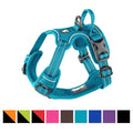 Reflective Dog Harness and Leash H430248