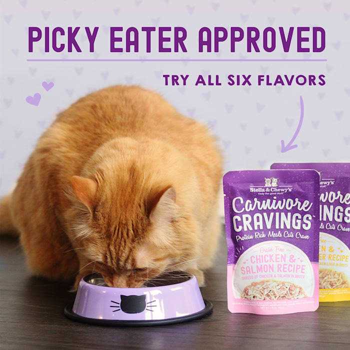 Chicken Recipe Cat Food G92877
