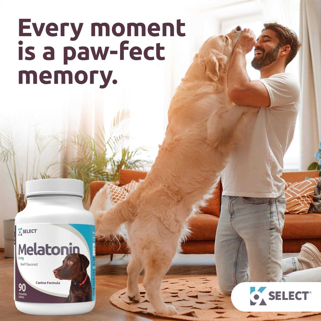 Melatonin for Dogs 6mg 90 Beef Flavored Chewable Tablets I208925