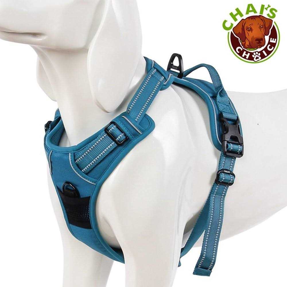 Reflective Dog Harness and Leash H430248