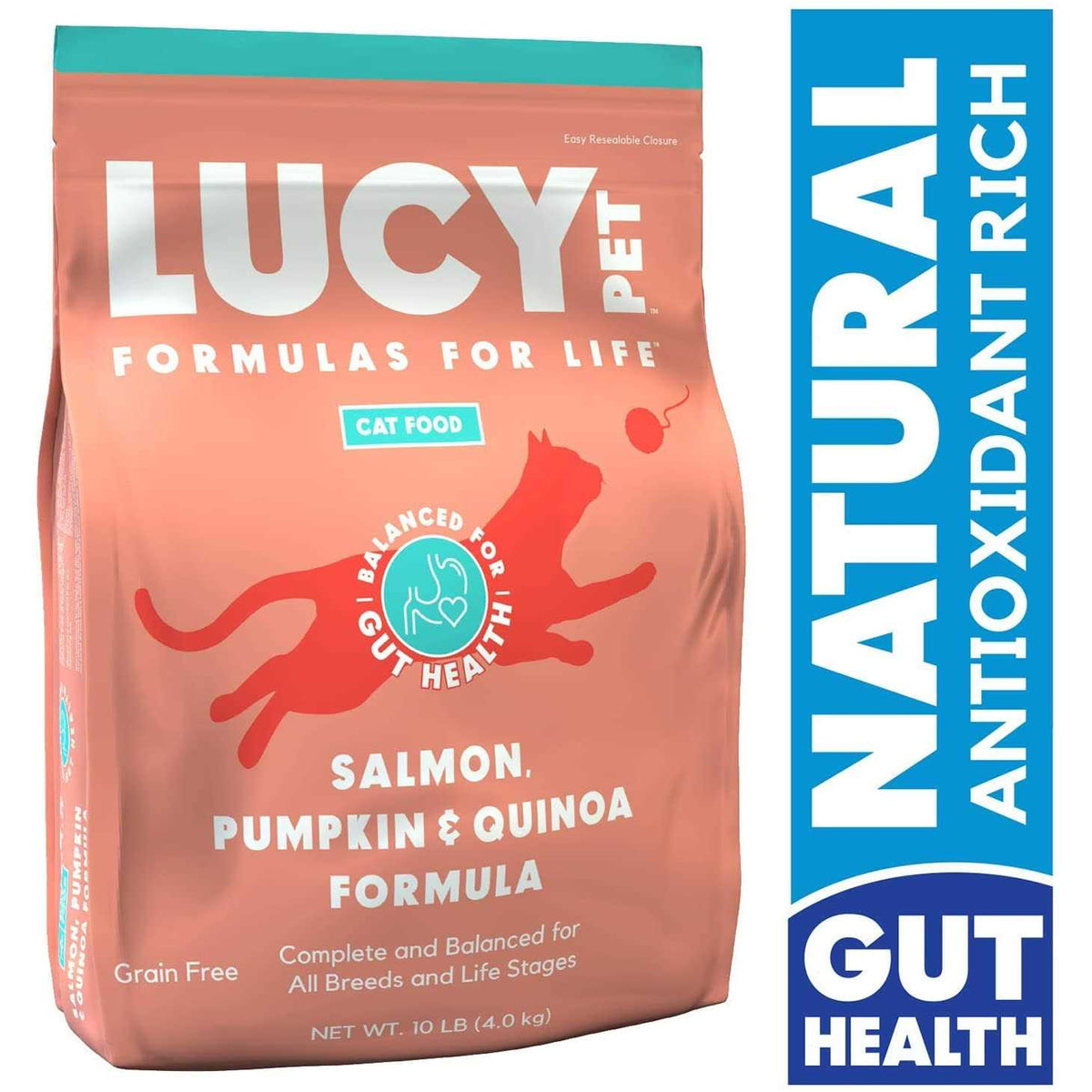Dry Cat Food Salmon N4227