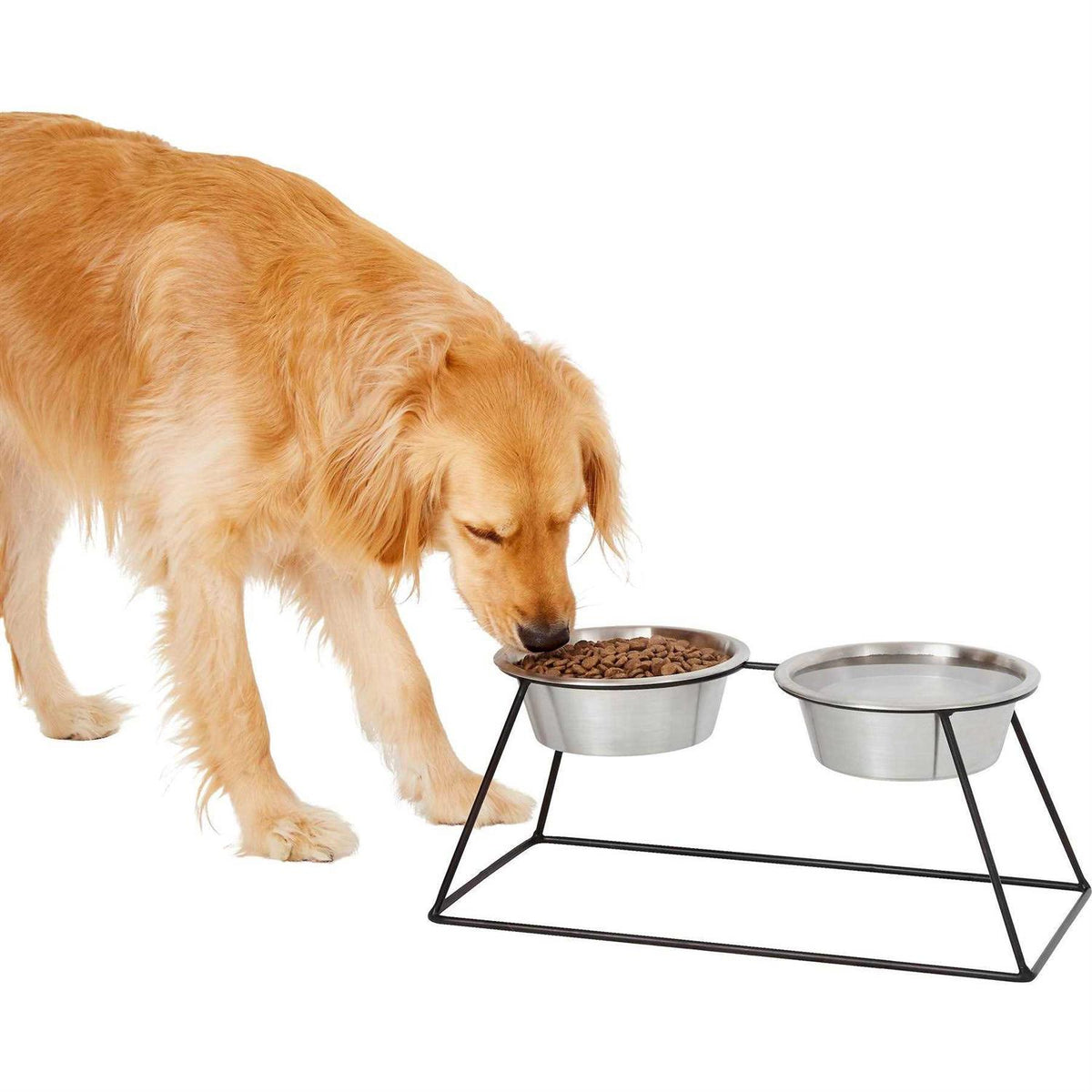 Elevated Dog & Cat Diner P42923