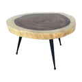 Teak Round Coffee Table with Iron Leg Z7816