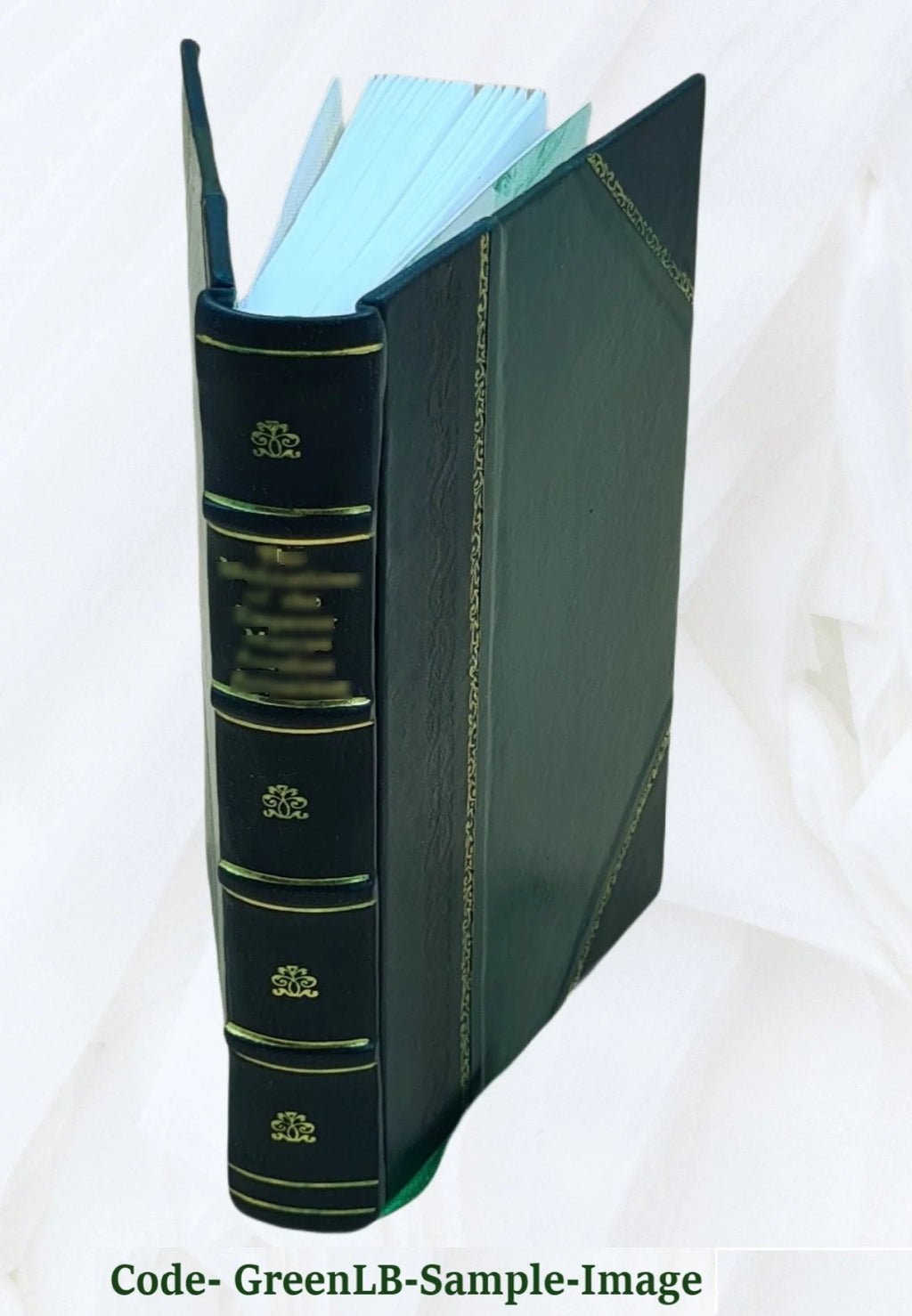 A general history of the pyrates Leather Bound W757441
