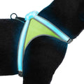 LED Reflective Dog Harness L139639