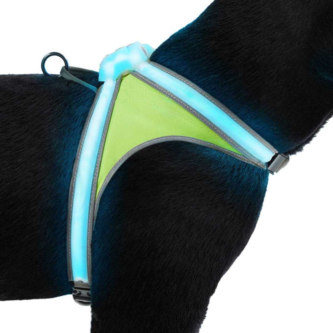 LED Reflective Dog Harness L139639